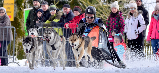 Schlittenhunderennen in Frauenwald Schlittenhunderennen in Frauenwald