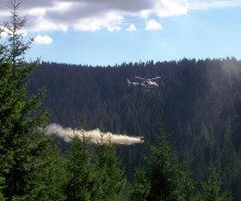 Waldkalkung ist keine Düngung – der Naturkalk dient der Verbesserung der Bodenchemie