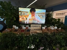 International Day of Forests
